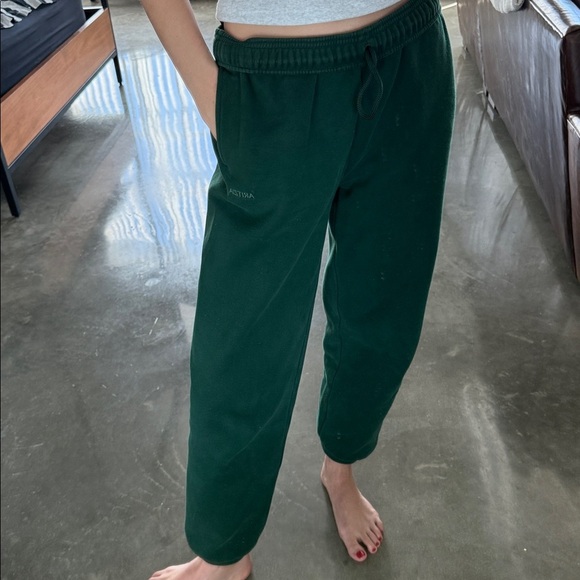 Aritzia Cozy Sweatfleece Mega Jogger - Picture 5 of 14